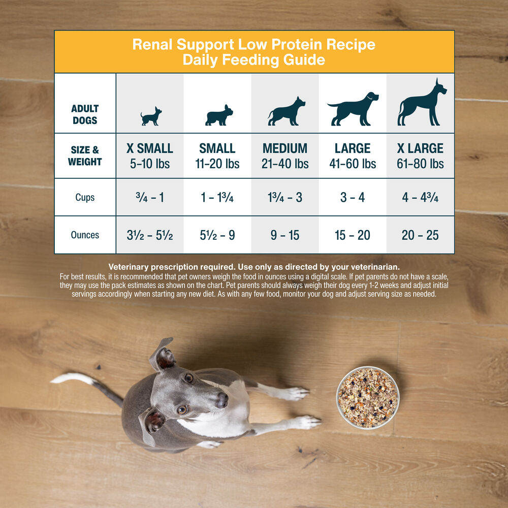 Renal Support Low Protein 18 oz (7 Pack) Small Box