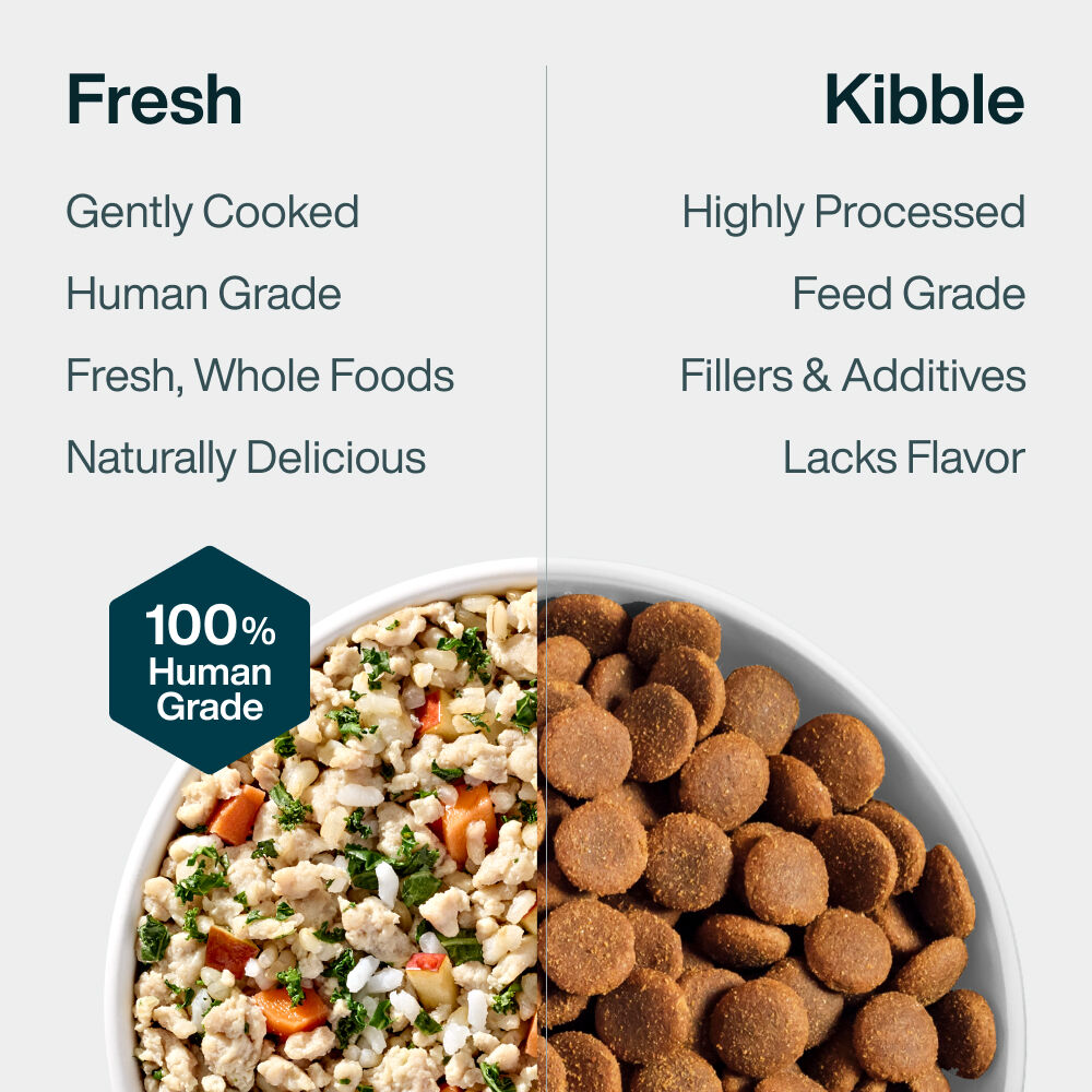 Pantry Fresh - Chicken & Rice 12.5 oz Case (12 Pack)