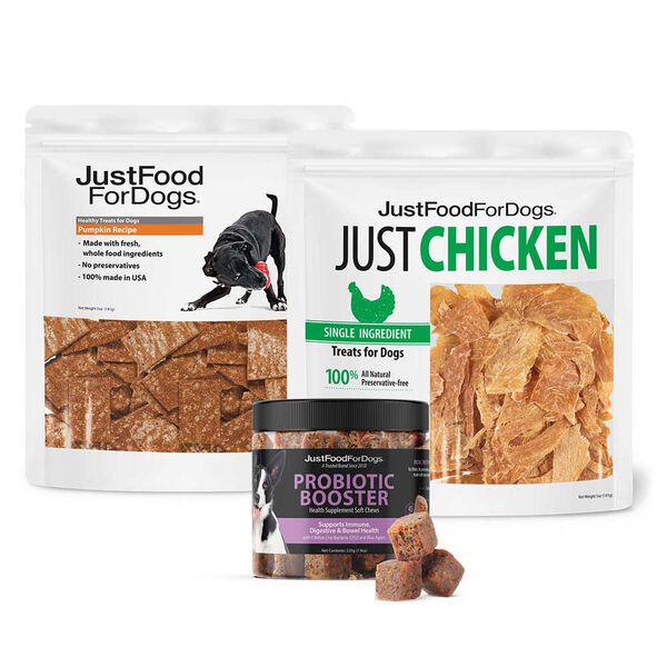 Gut-Friendly Favorites - Pumpkin and Chicken Dog Treats, Probiotic Chews