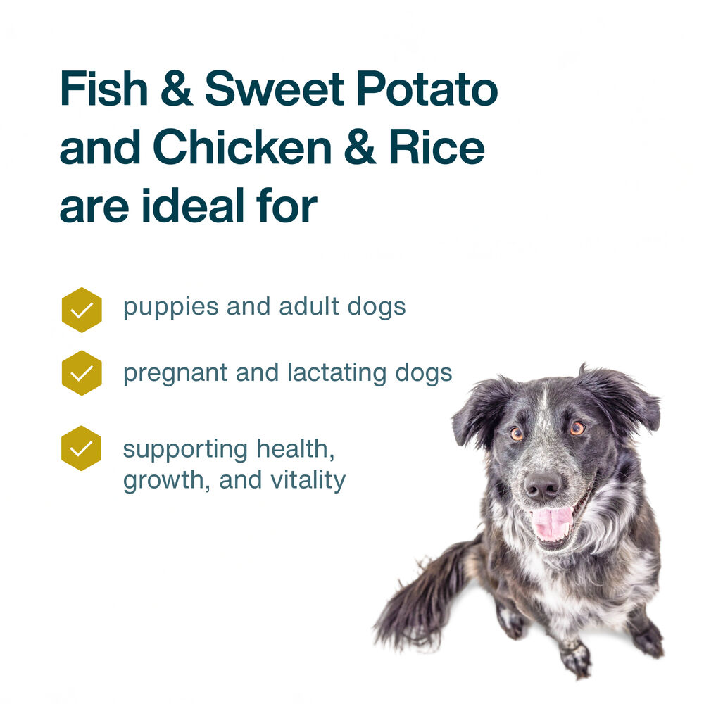 Variety Pack - Puppy 18 oz (7 Pack)