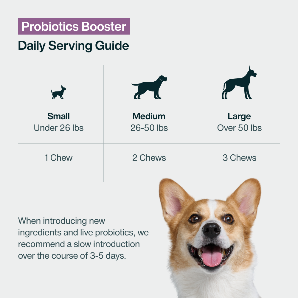 Pork & Probiotics Pack