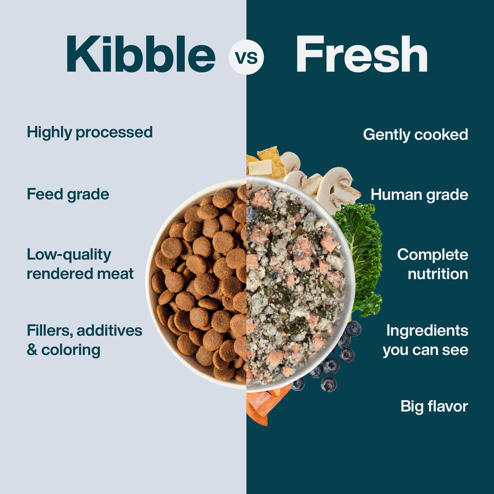 Tofu & Quinoa 18 oz (7 Pack) Small Box