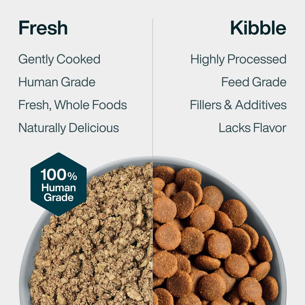 Critical Care Support 18 oz (7 Pack) Small Box