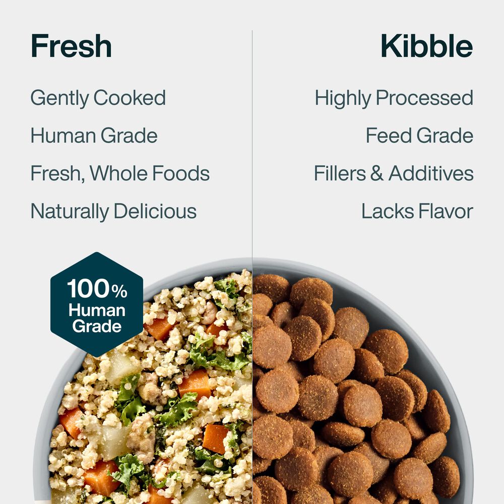 Joint & Skin Support 18 oz (7 Pack) Small Box