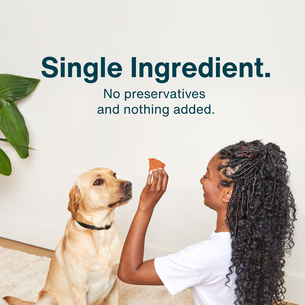Chicken Breast Treat 5 oz