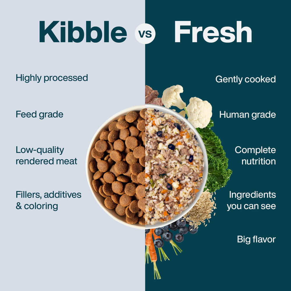 Lamb & Brown Rice Recipe 18 oz (7 Pack) Small Box