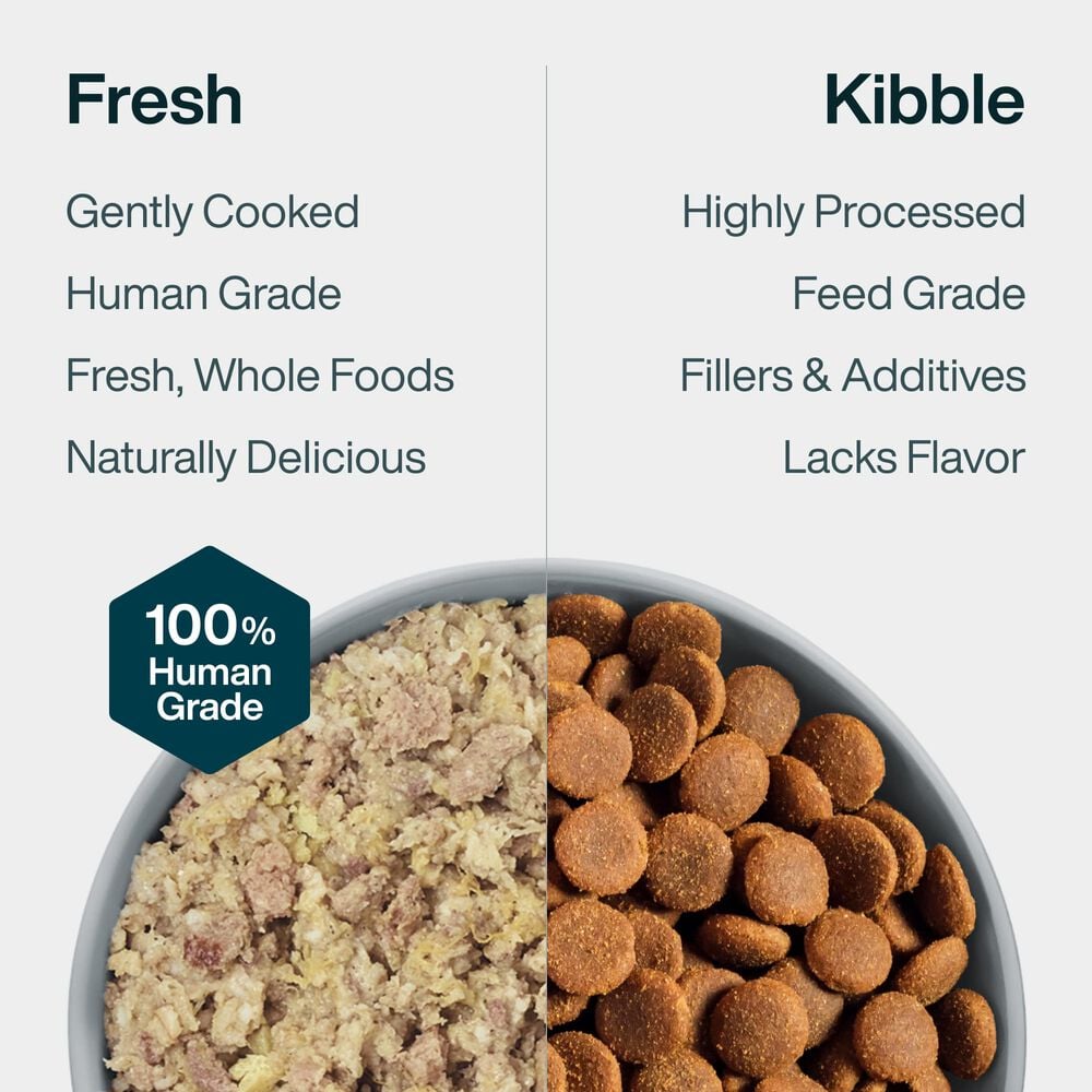 Metabolic Support 18 oz (7 Pack) Small Box