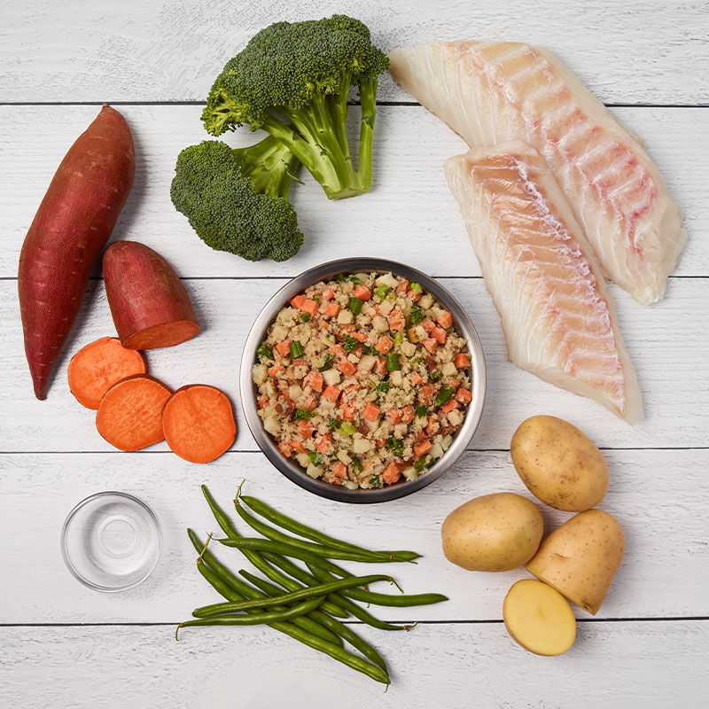 just food for dogs fish and sweet potato