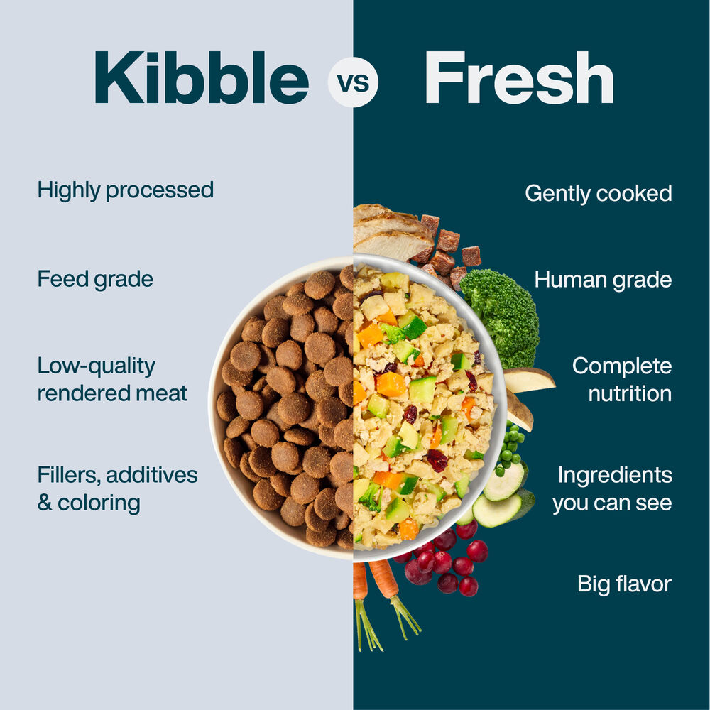 Variety Pack - Sensitive Skin & Stomach 18 oz (7 Pack) Small Box