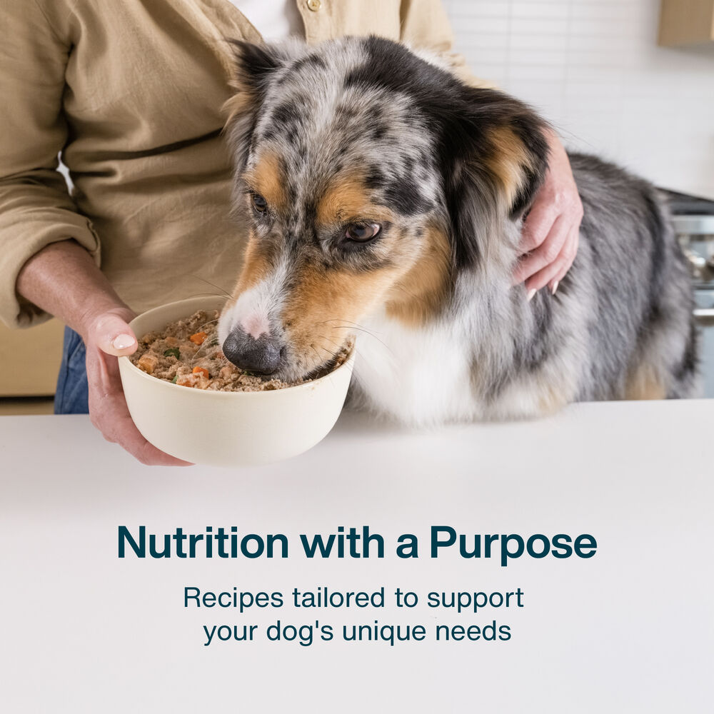 Sensitive Skin 18 oz (7 Pack) Small Box