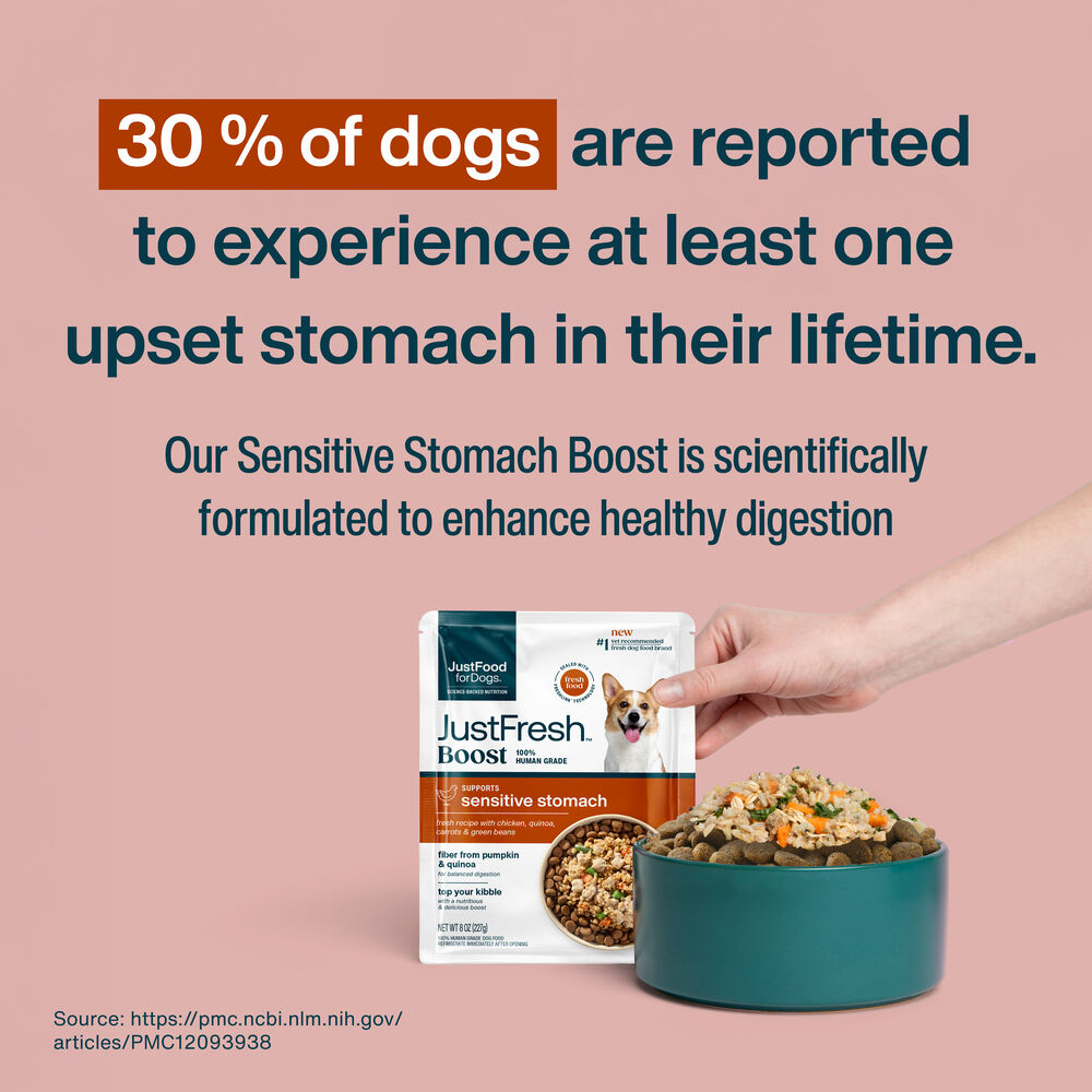 JustFresh Boost Meal Topper for Sensitive Stomachs (8 oz 8-Pack)