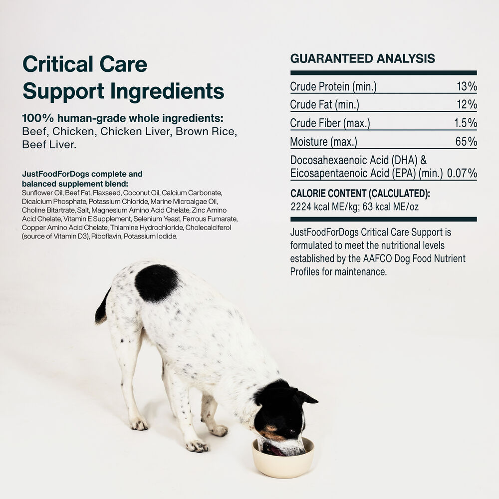 Critical Care Support 18 oz (7 Pack) Small Box