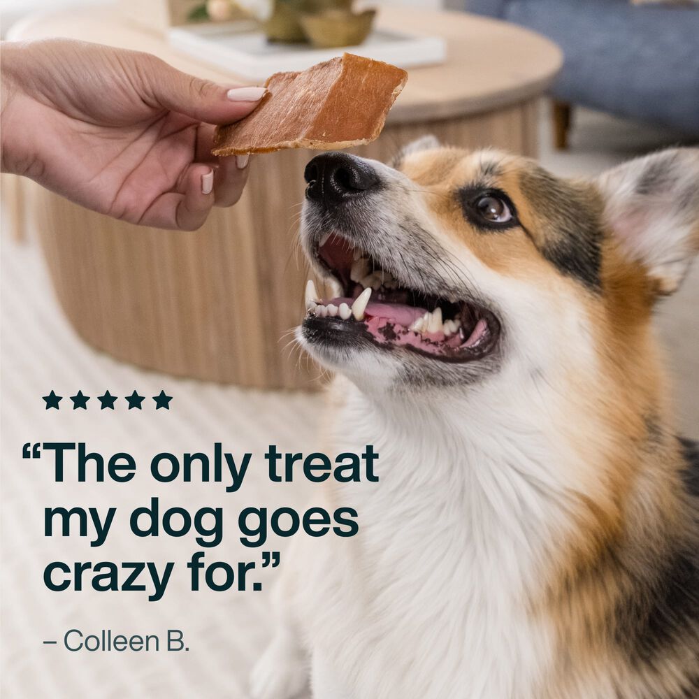 Beef Brisket Treat 5 oz