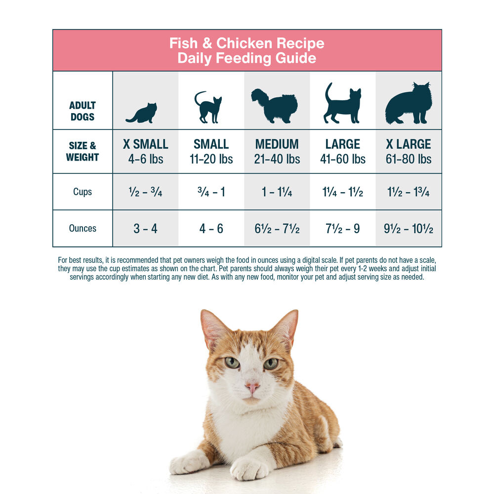 Fish & Chicken 18 oz (21 Pack) Medium Box