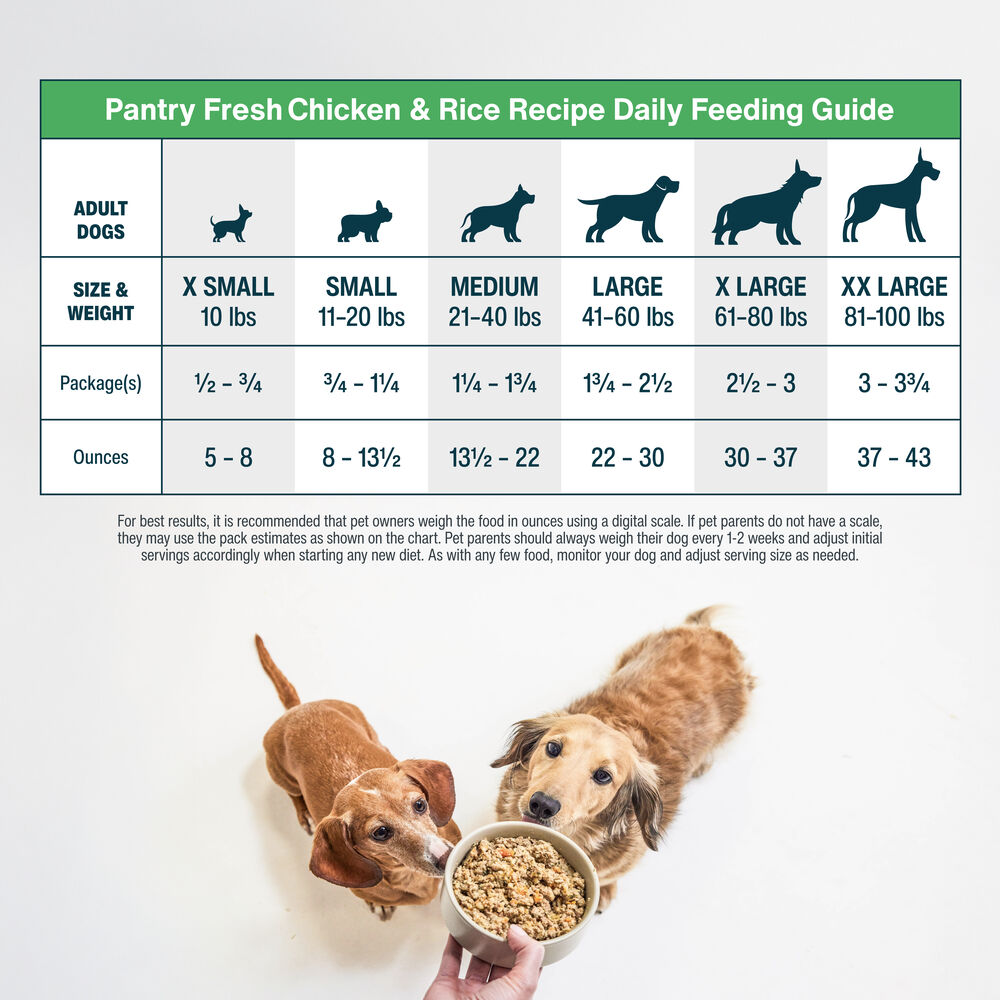 How Much Food to Feed a Adult Dog: Ultimate Guide for Perfect Portions