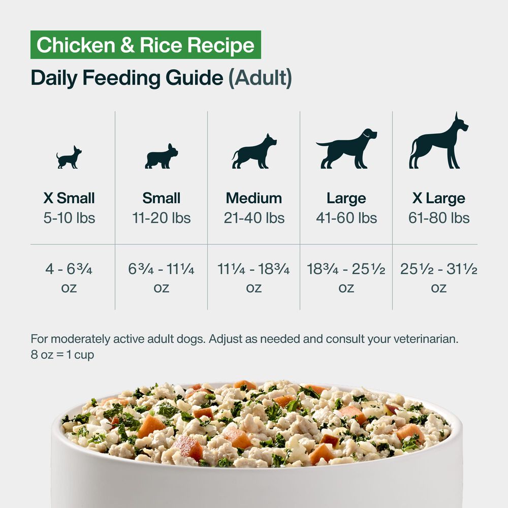 Chicken & Rice 18 oz (7 Pack) Small Box