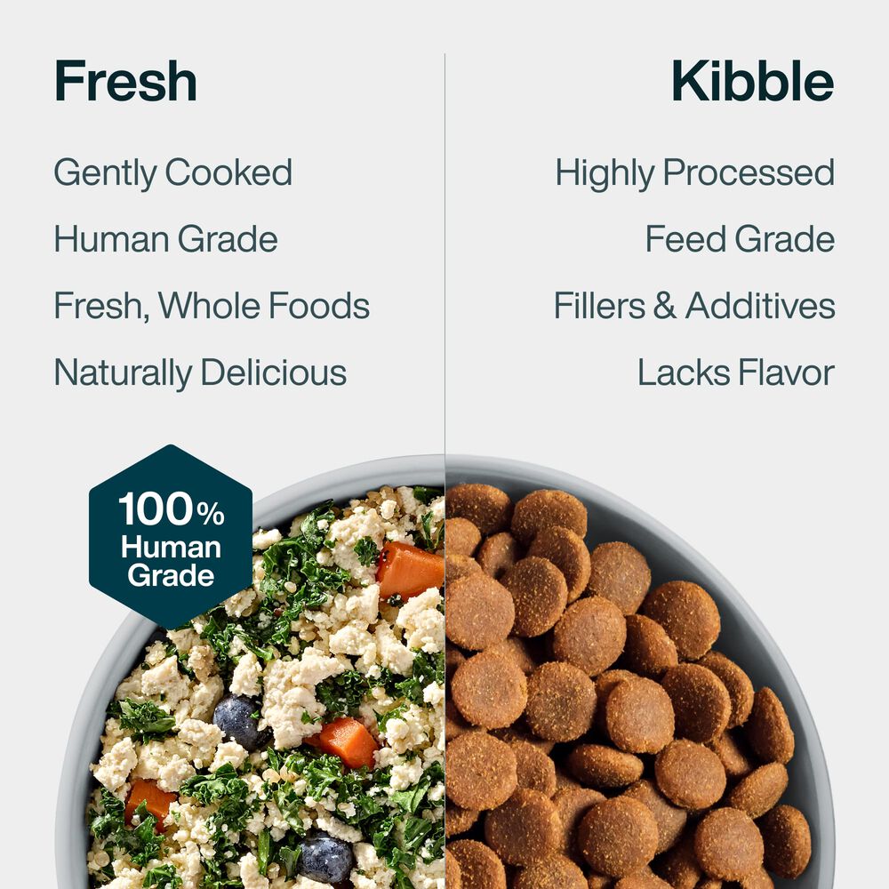 Tofu & Quinoa 18 oz (7 Pack) Small Box