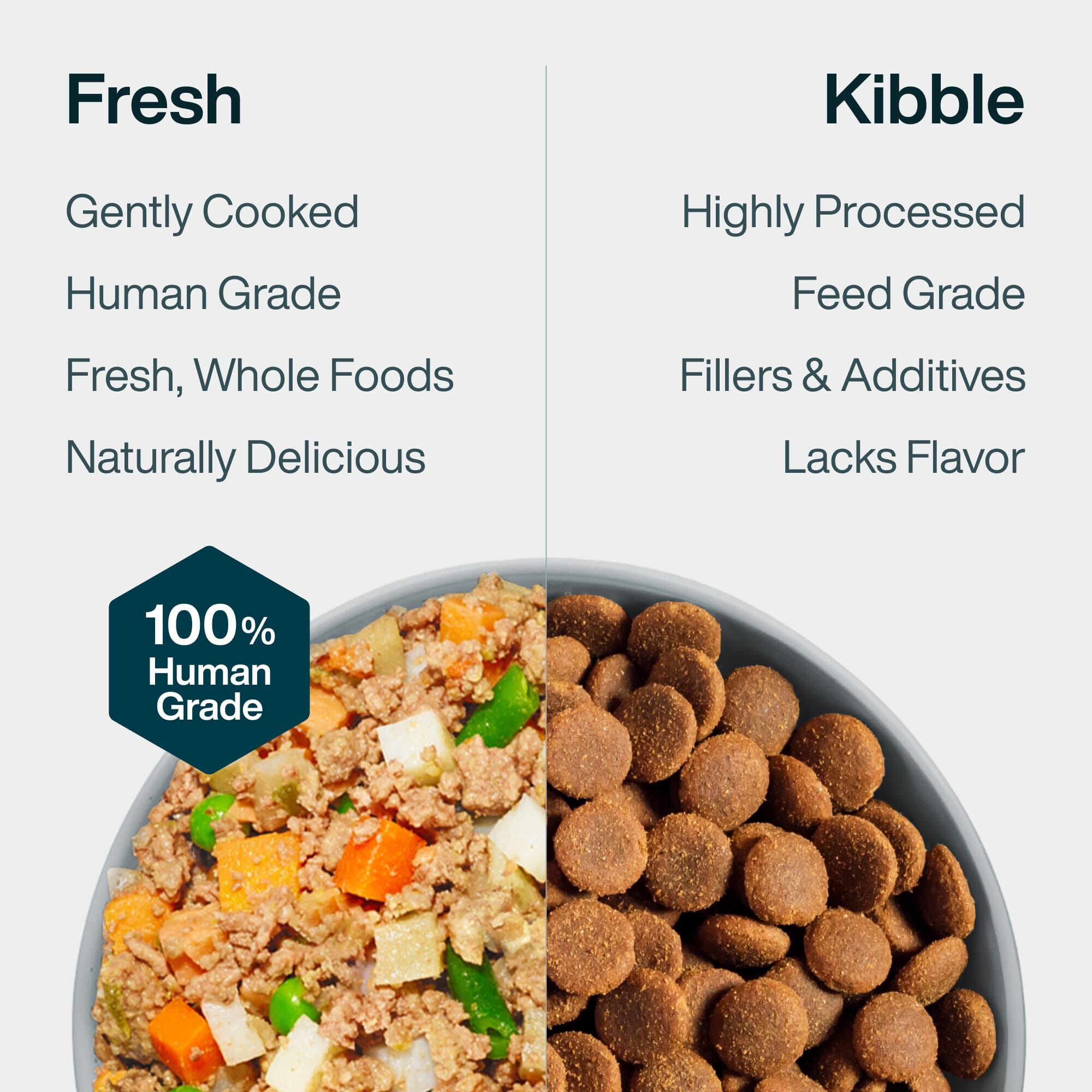 Sampler Variety Box | JustFoodForDogs