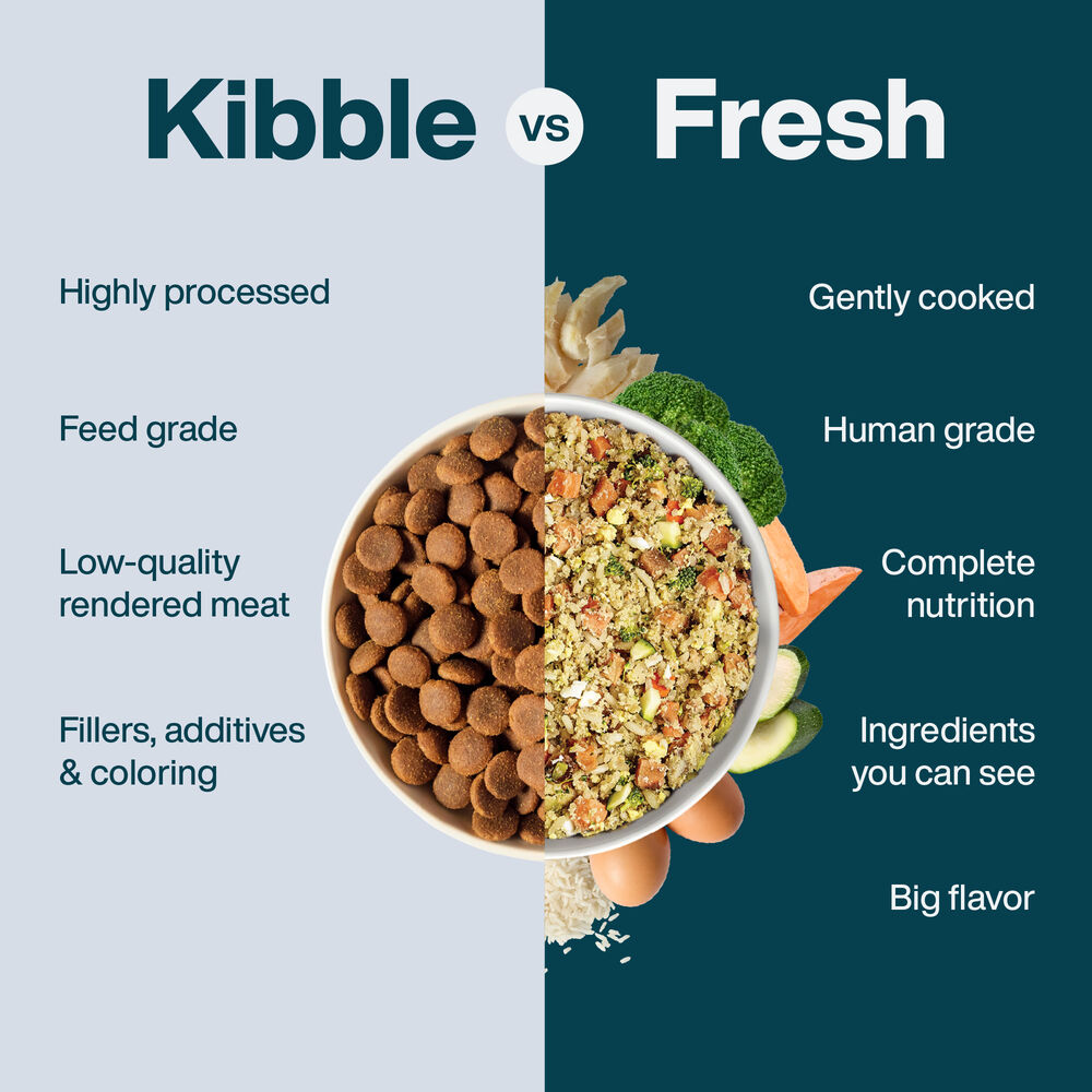 Hepatic Support Low Fat 18 oz (7 Pack) Small Box