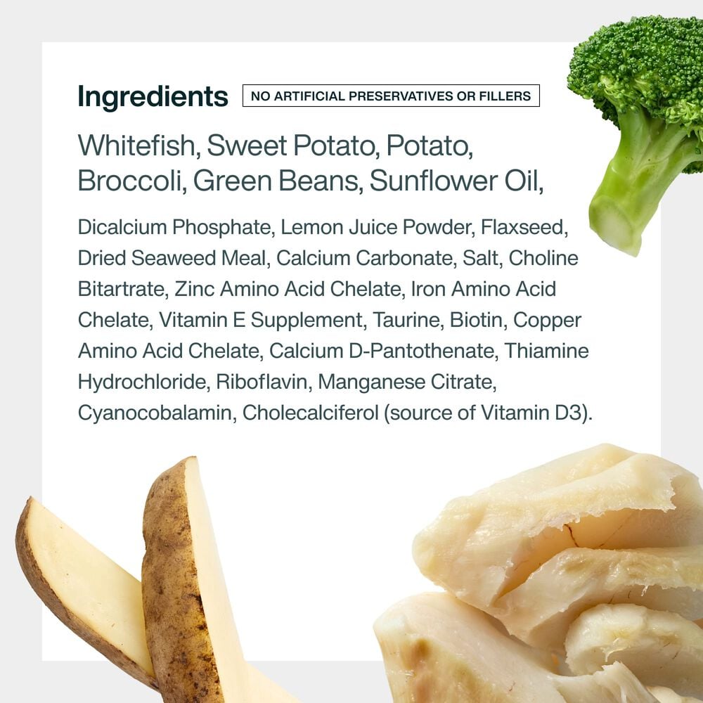 Fish & Sweet Potato 18 oz (7 Pack) Small Box