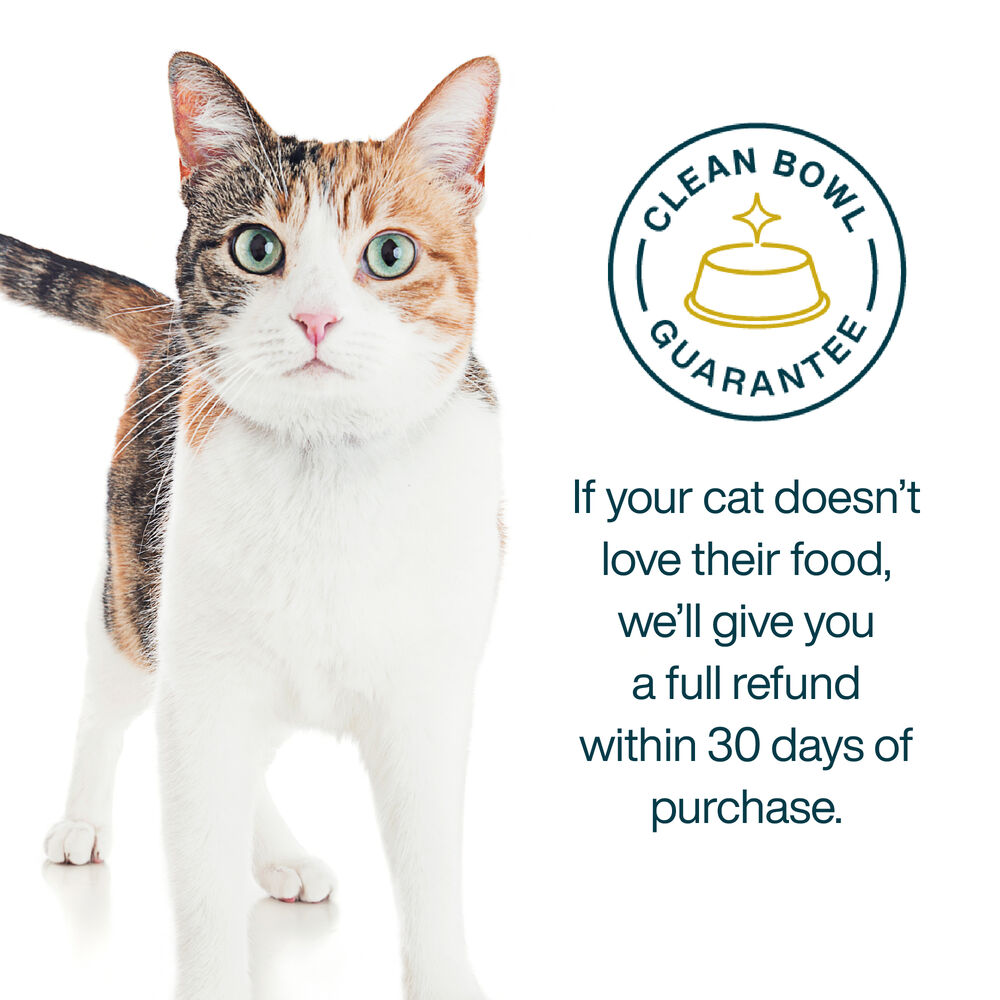 Fish & Chicken 18 oz (7 Pack) Small Box