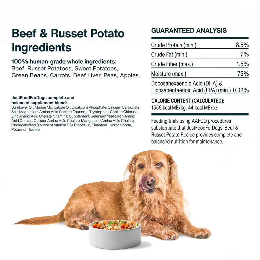 Beef & Russet Potato 18 oz (7 Pack) Small Box