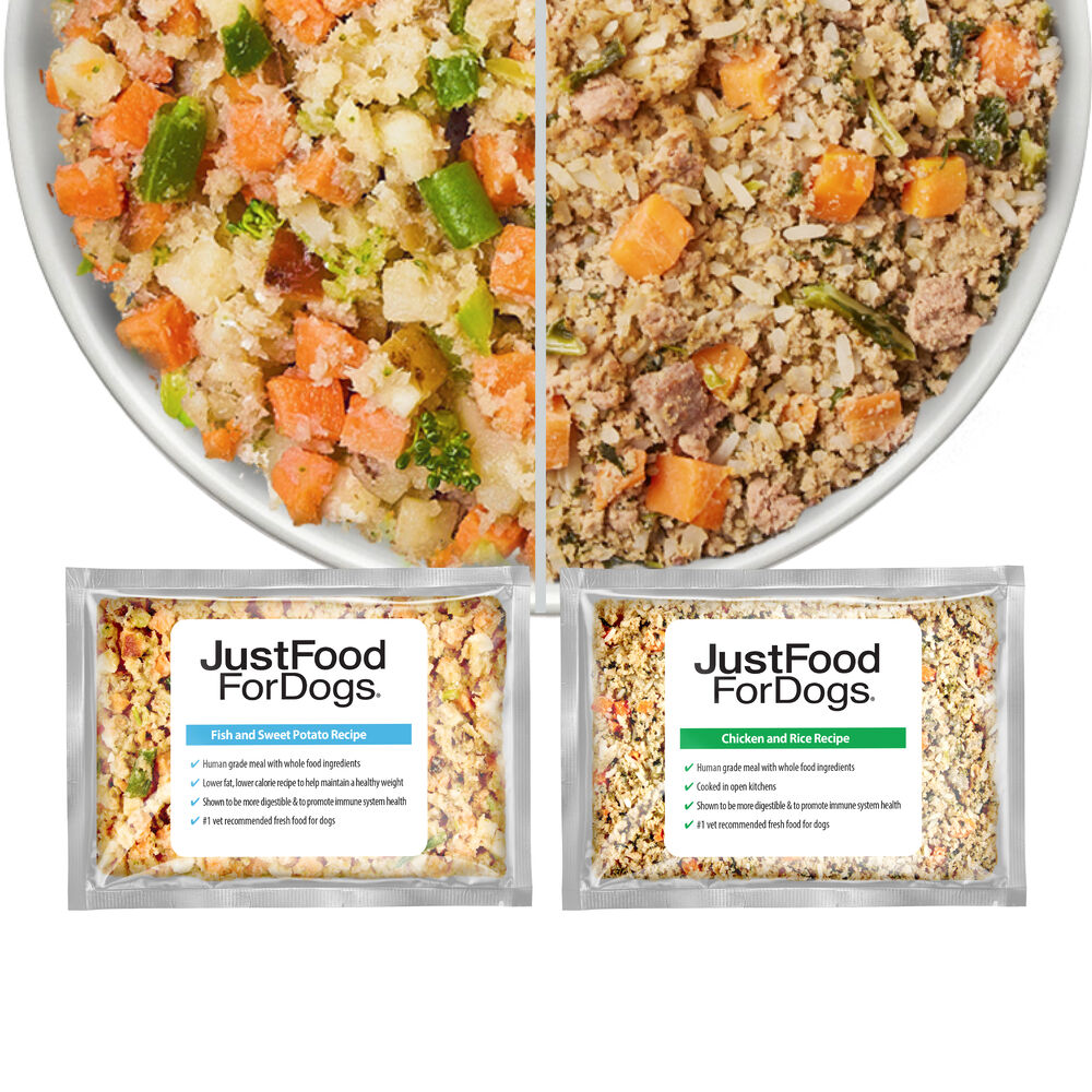 Homemade Food What To Feed Puppies At Weeks Puppy Recipes Wet Dog