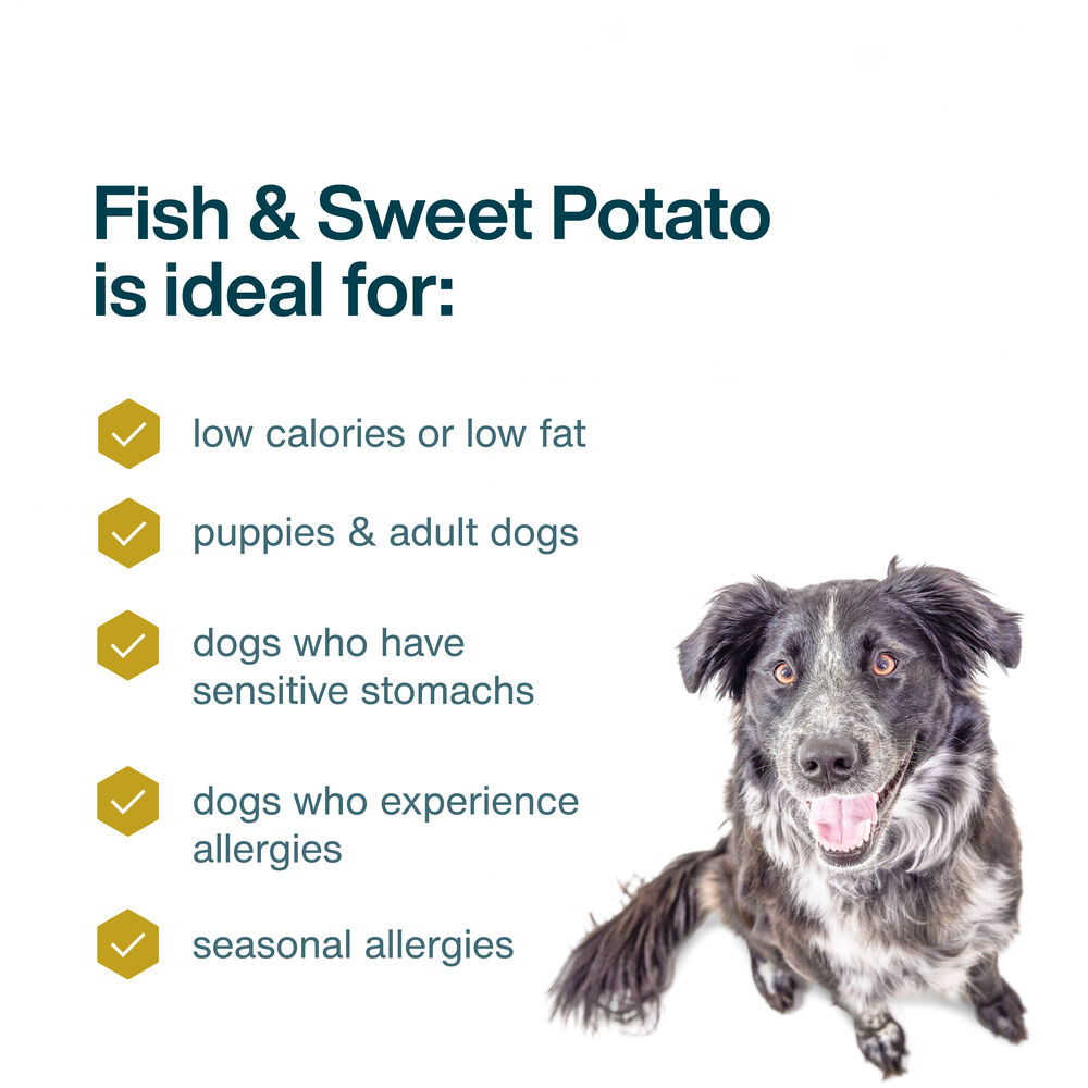 Fish & Sweet Potato 18 oz (7 Pack) Small Box