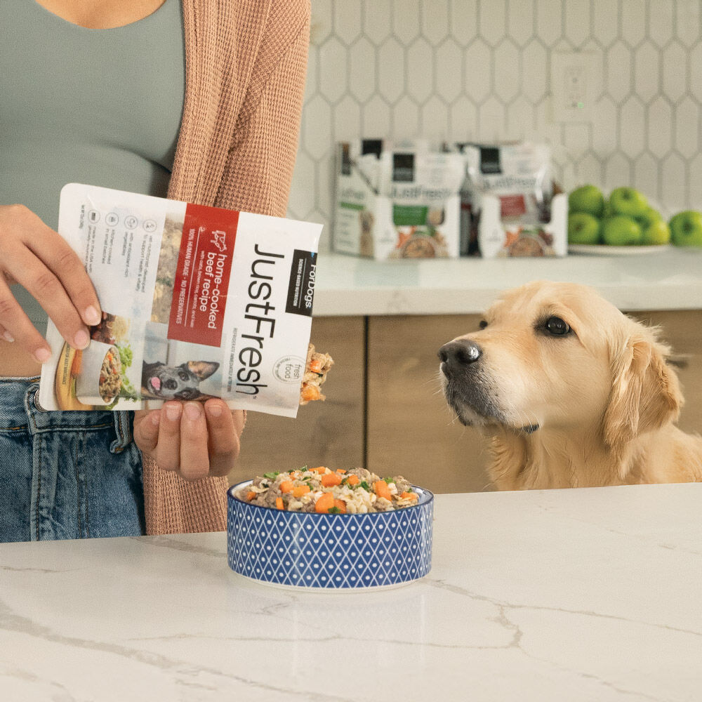 JustFresh Allergy-Friendly Favorites - Beef & Pork (14 Pack)