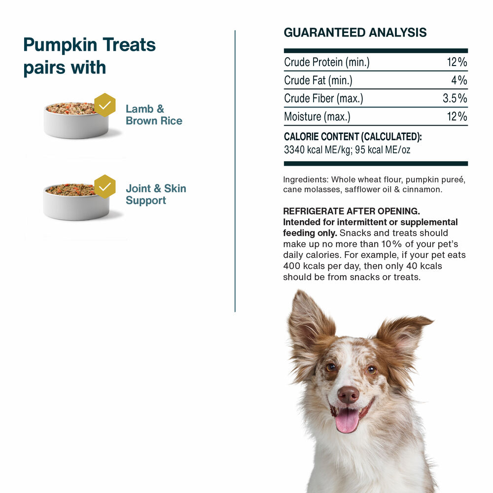 Dog Treat Favorites Bundle