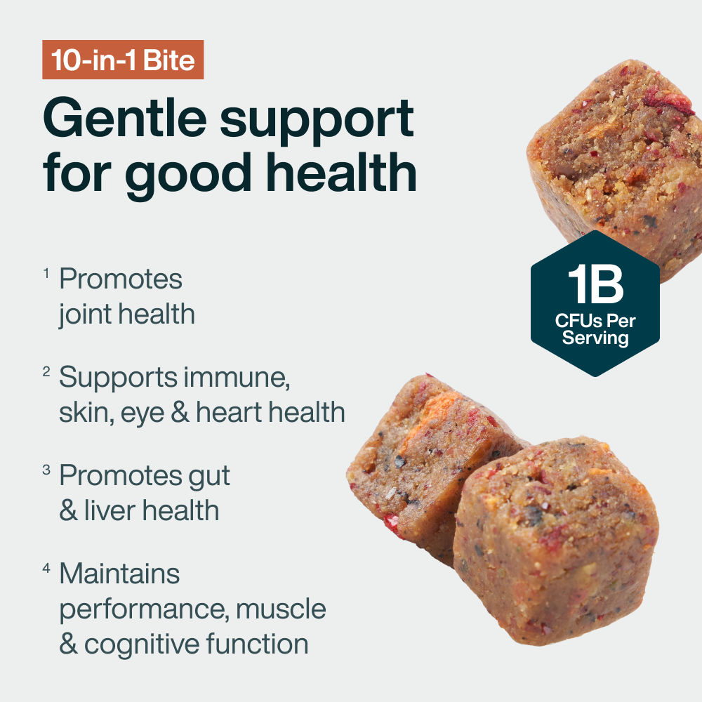 10-in-1 Bite (45 Chews)