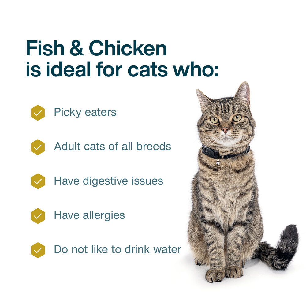 Fish & Chicken 18 oz (21 Pack) Medium Box