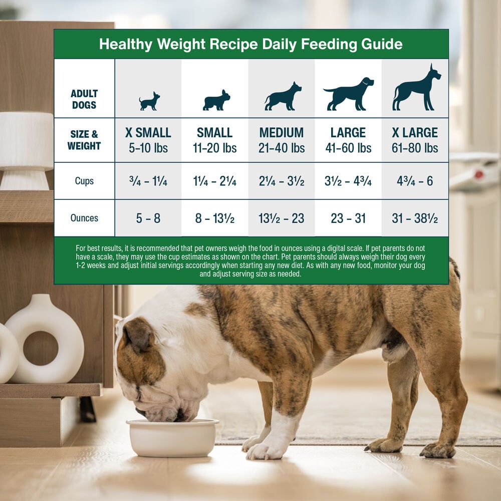 Healthy Weight 18 oz (7 Pack) Small Box