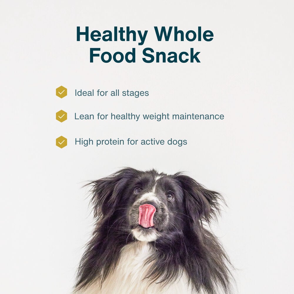 Pork Treats 5 oz