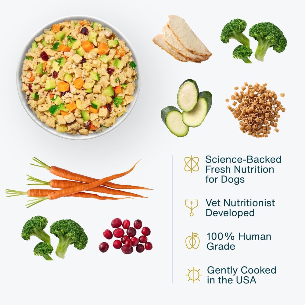 Turkey & Whole Wheat Macaroni Recipe