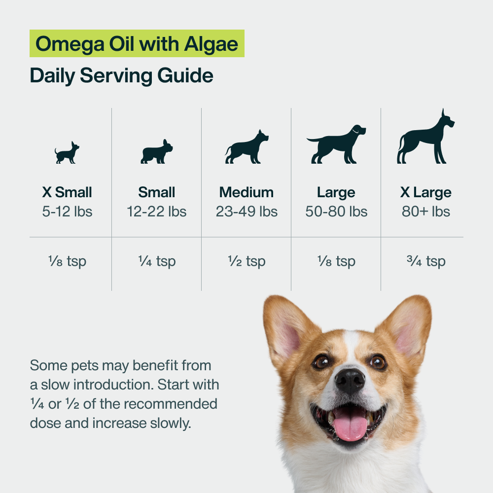 Omega Oil for Dogs with Algae (8 oz)