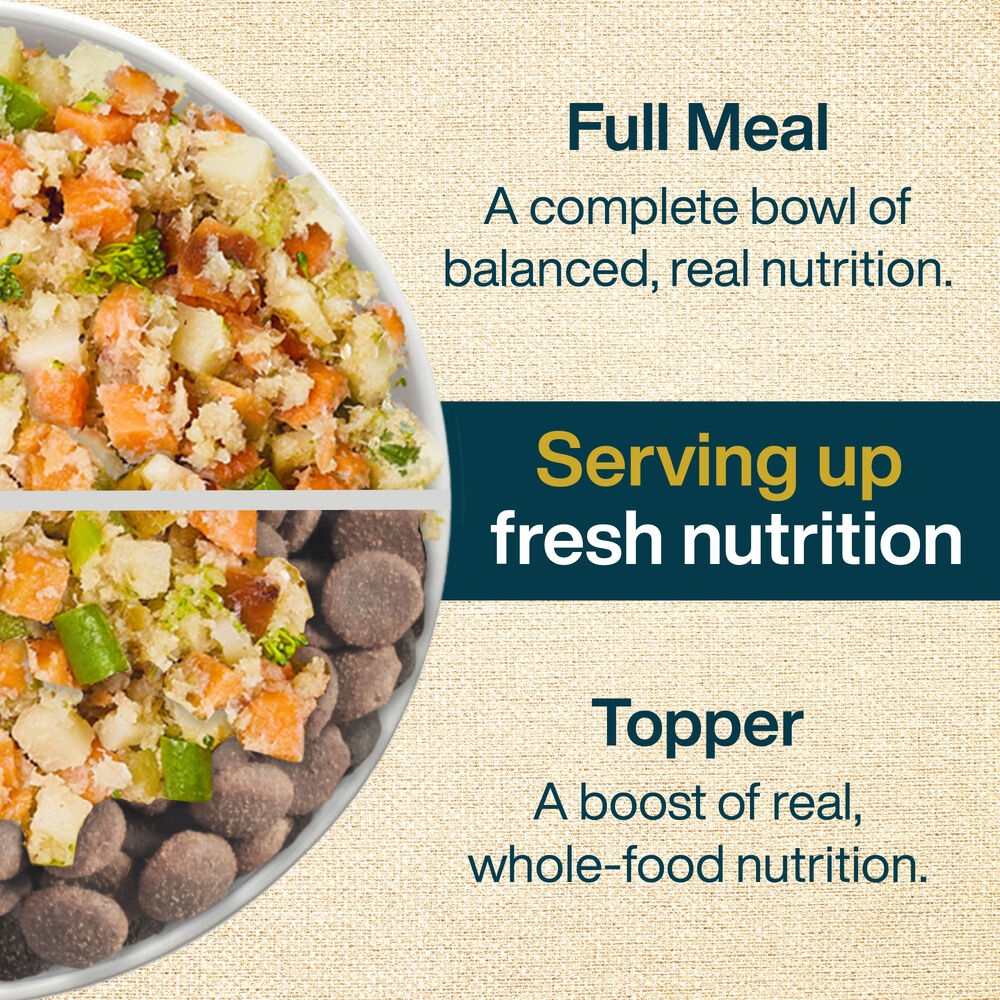 Variety Pack - Sampler Box 18 oz (14 Pack)