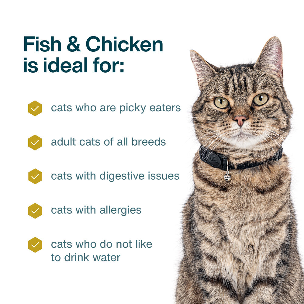 Fish & Chicken 18 oz (7 Pack) Small Box