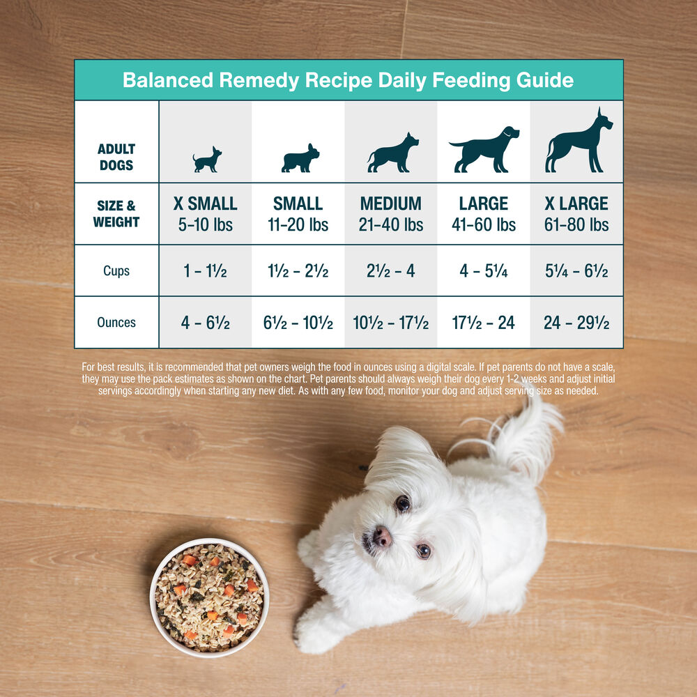 Balanced Remedy 18 oz (7 Pack) Small Box