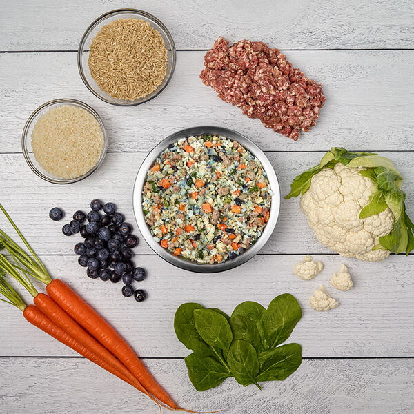 Renal Support Low Protein (Small Box) JustFoodForDogs