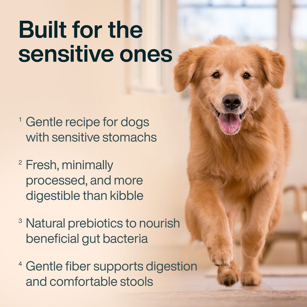 Sensitive Stomach 18 oz (7 Pack) Small Box