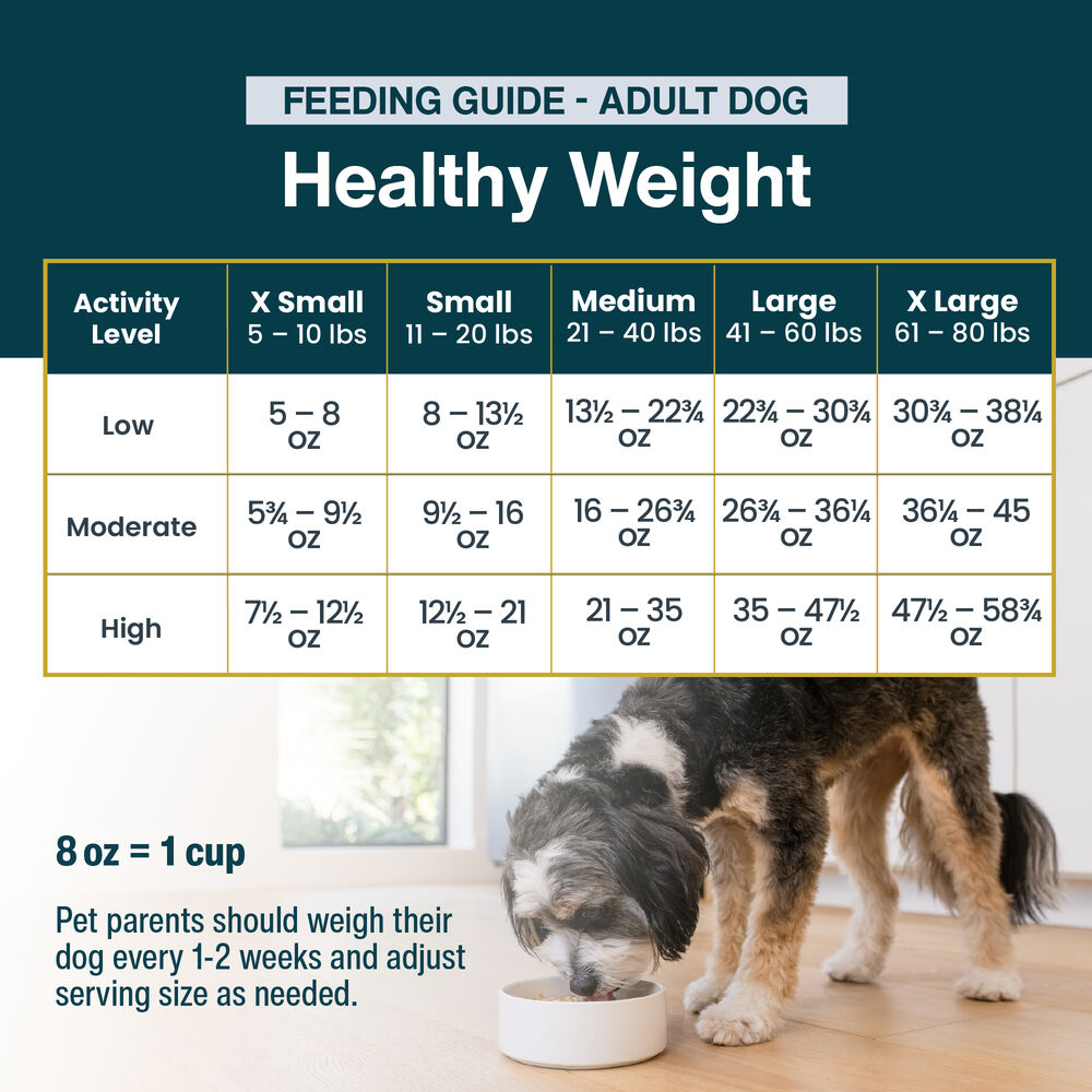 Healthy Weight 18 oz (7 Pack) Small Box