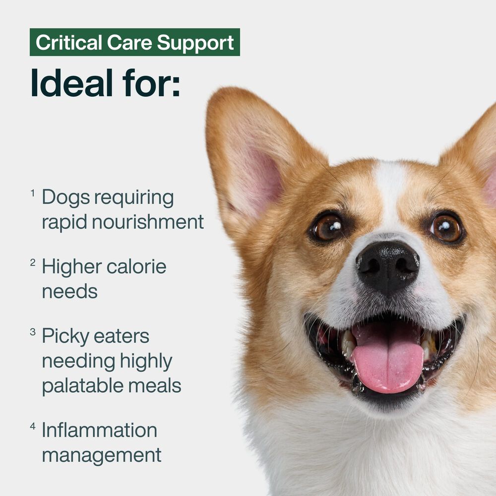 Critical Care Support 18 oz (7 Pack) Small Box