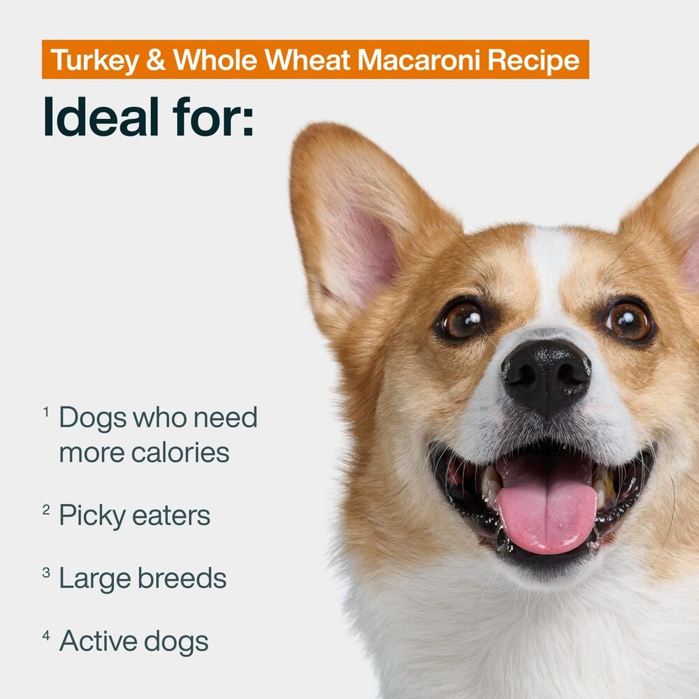 Pantry Fresh - Turkey & Whole Wheat Macaroni 12.5 oz Case (6 Pack)