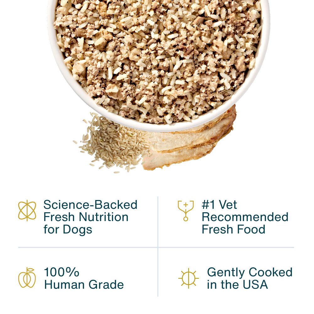 Balanced Remedy 18 oz (7 Pack) Small Box