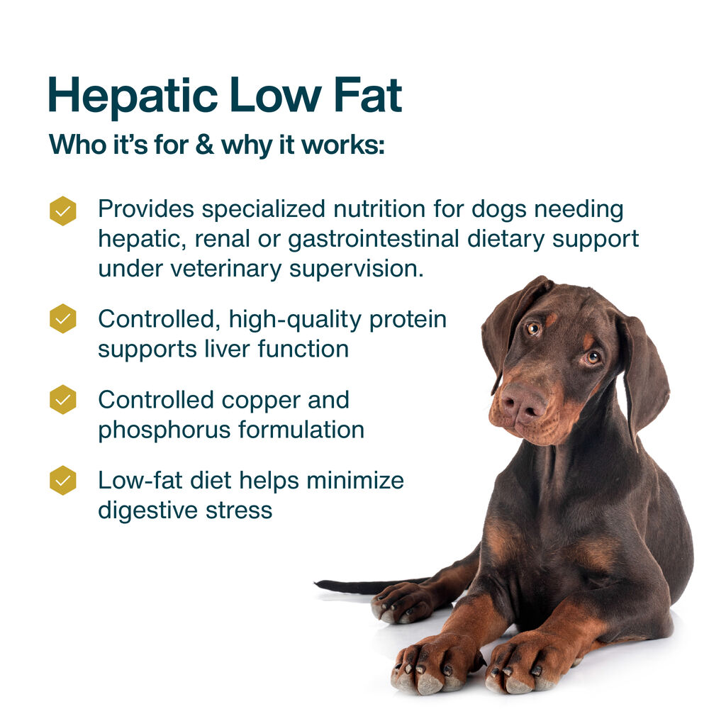 Hepatic Support Low Fat 18 oz (7 Pack) Small Box