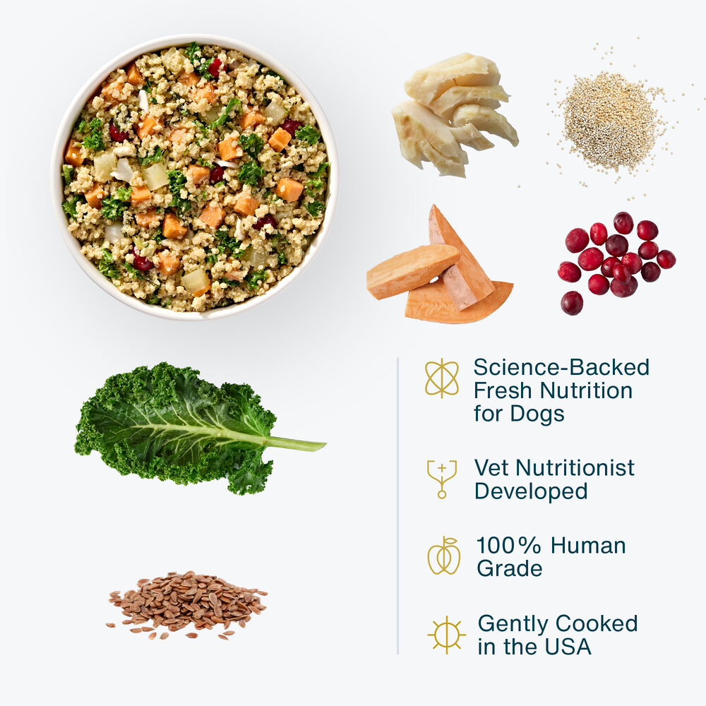 Sensitive Skin 18 oz (7 Pack) Small Box