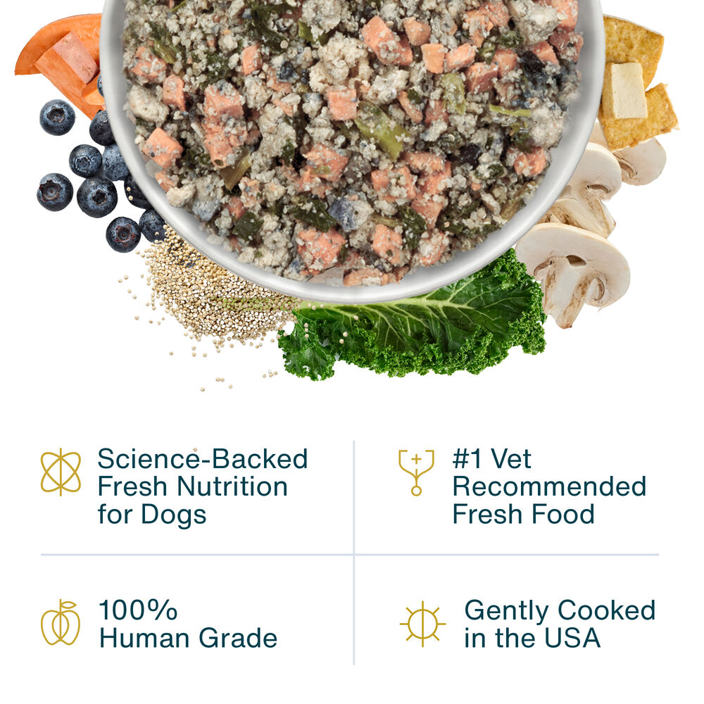 Tofu & Quinoa 18 oz (7 Pack) Small Box