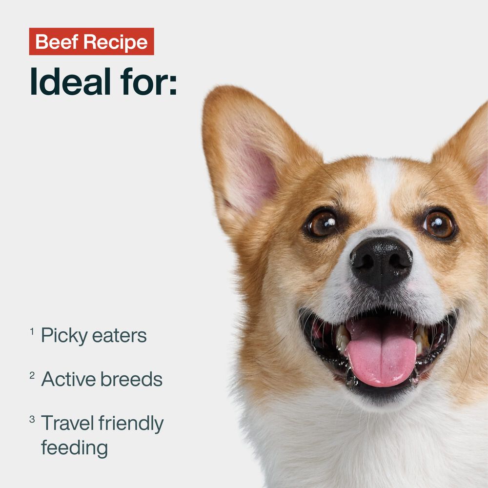 JustFresh Home-Cooked Beef (12 oz 7 Pack)