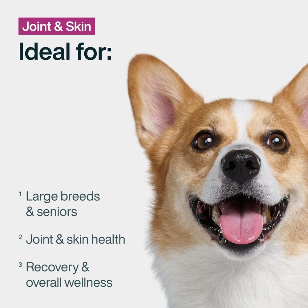 Joint & Skin Support 18 oz (7 Pack) Small Box